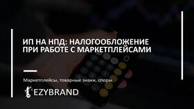 Что лучше для маркетплейсов: ООО или ИП в Эконика