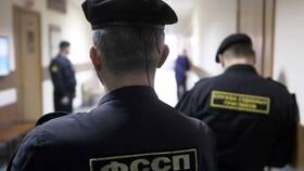 Что означает арест имущества ФССП в Эконика