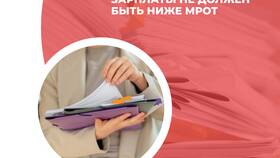 Что означает штраф в размере 5 МРОТ в Эконика
