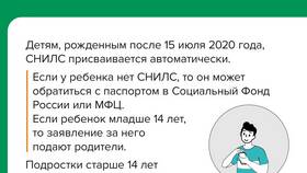 Что означает слово СНИЛС в Эконика