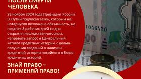 Что происходит с кредитом, если заемщик умирает в Эконика