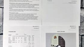 Что содержится в договоре в Эконика
