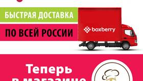 Что такое доставка Boxberry по России в Эконика