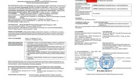 Что такое страховая лицензия в Эконика