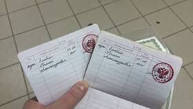 Для чего вписывать ребенка в паспорт родителей в Эконика