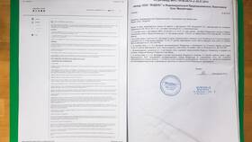 Документы для ИП на УСН в Эконика