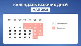 График работы МФЦ в майские праздники 2025 года в Эконика