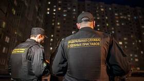 Как действуют судебные приставы при взыскании долгов в Эконика