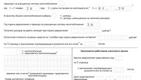 Как подать упрощенную налоговую декларацию в Эконика