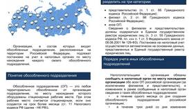 Как посмотреть обособленные подразделения юридического лица