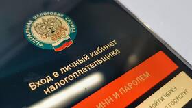 Как проверить необходимость уплаты налогов в Эконика