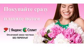 Как узнать график платежей Сплит в Эконика