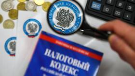 Как вернуть излишне уплаченный налог в Эконика