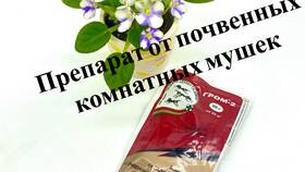Как вывести комнатных мошек в Эконика