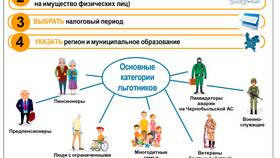 Как заполнить декларацию на сайте налоговой службы в Эконика