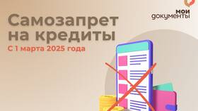 Кредитный самозапрет: что это такое в Эконика