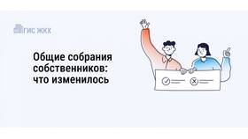 ОСС для ИП: что это такое в Эконика