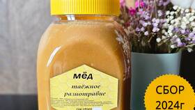 Почему мед пенится в банке в Эконика