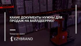 Почему могут возникнуть ограничения при использовании Valberis в Эконика