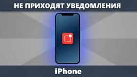 Почему не приходят уведомления на iPhone в Эконика