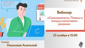 Самозанятость: плюсы и минусы в Эконика