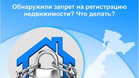 За что накладывают запрет регистрационных действий в Эконика