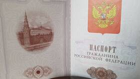 Зачем нужен российский паспорт в Эконика