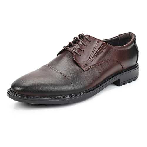 Туфли мужские Alessio Nesca 25807630 коричневые 41 RU в Эконика