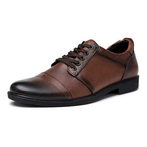 Туфли мужские Alessio Nesca K318A1R коричневые 41 RU в Эконика