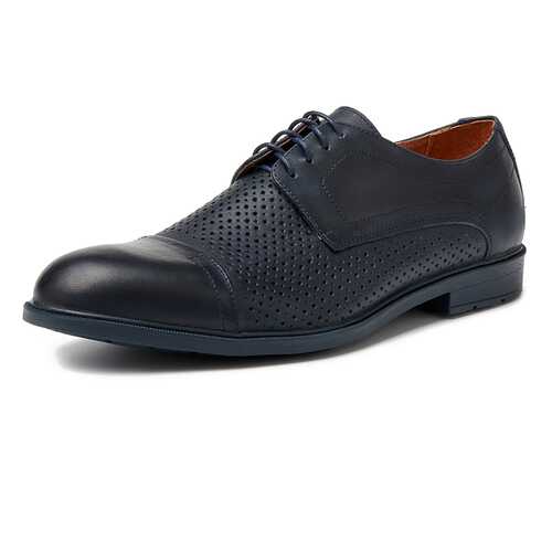 Туфли мужские Alessio Nesca M6118004 синие 39 RU в Эконика