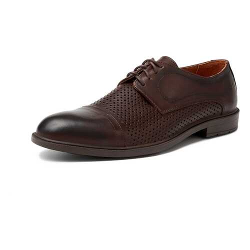 Туфли мужские Alessio Nesca M6118005 коричневые 41 RU в Эконика