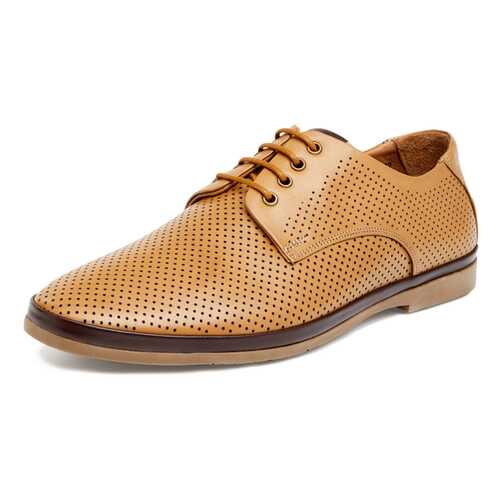Туфли мужские Pierre Cardin 710017657 коричневые 40 RU в Эконика