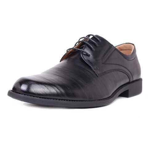 Туфли мужские T.Taccardi 03406520 черные 43 RU в Эконика
